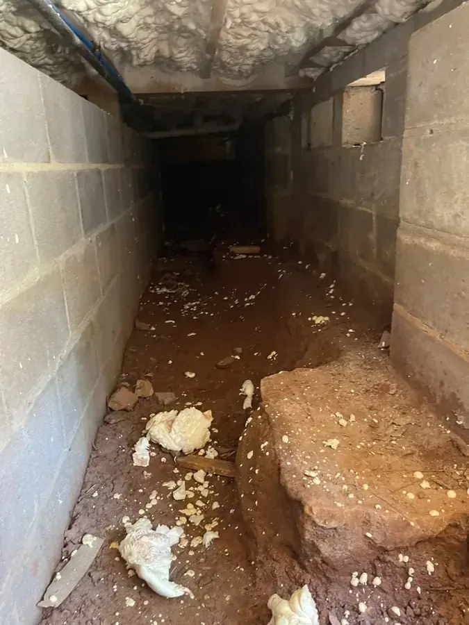 Flooded fieldstone basement in South Natick after the January thaw