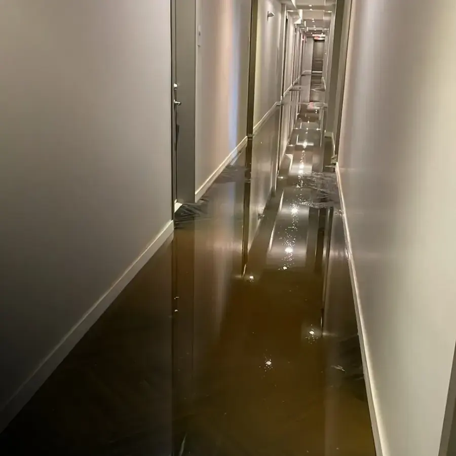 Standing water in a Natick hallway during a water loss