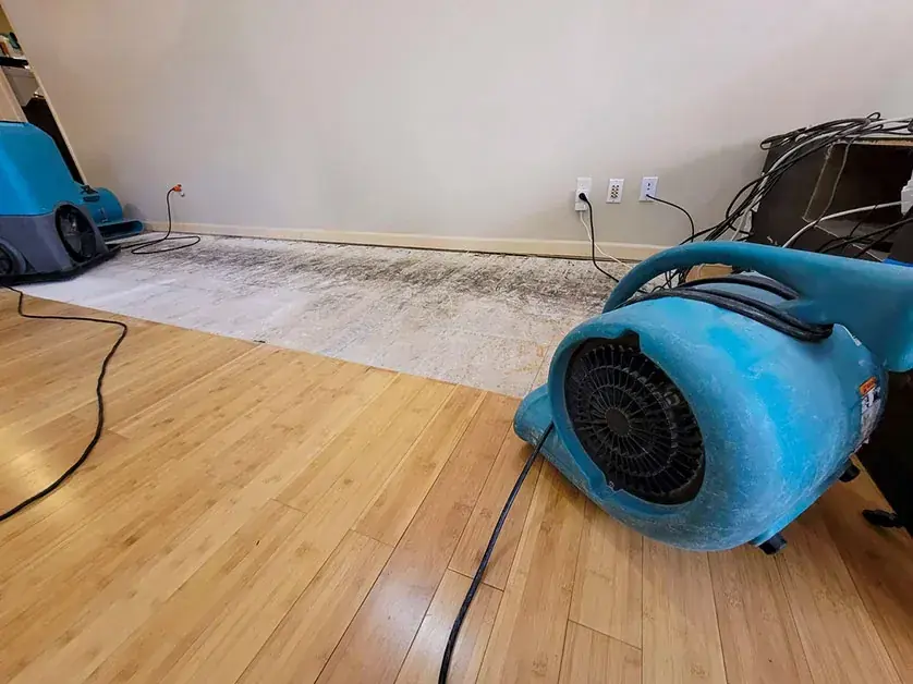 Blue air movers drying a hardwood floor in a MetroWest home