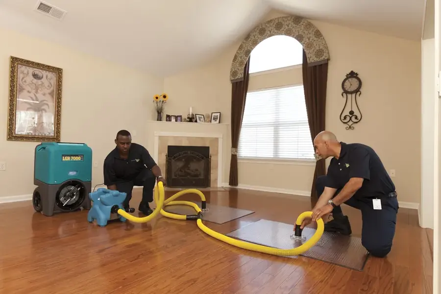 Extraction wand pulling standing water off a hardwood floor in a Natick home